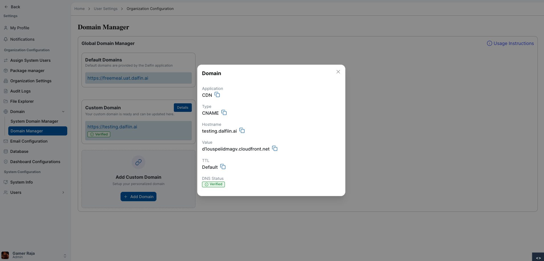 Custom domain details view